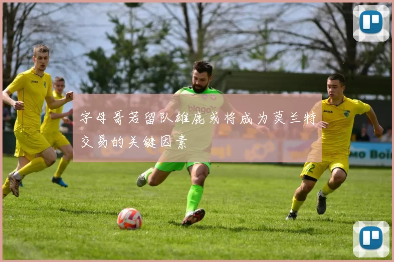 字母哥若留队雄鹿或将成为莫兰特交易的关键因素
